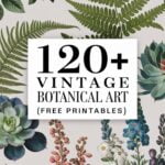 free vintage botanical printables