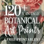 free vintage botanical printables