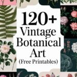 free vintage botanical printables