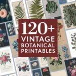 free vintage botanical printables