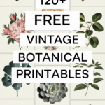 free vintage botanical printables