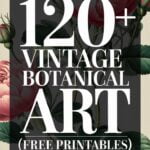 free vintage botanical printables