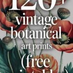 free vintage botanical printables