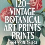 free vintage botanical printables