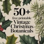 Vintage Christmas Botanicals Artsydee