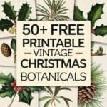 Vintage Christmas Botanicals Artsydee