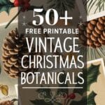 Vintage Christmas Botanicals Artsydee