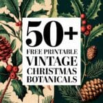 Vintage Christmas Botanicals Artsydee