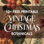 Vintage Christmas Botanicals Artsydee