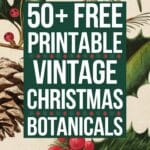 Vintage Christmas Botanicals Artsydee