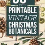 Vintage Christmas Botanicals Artsydee