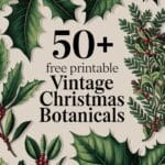 Vintage Christmas Botanicals Artsydee