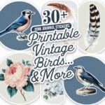 printable scrapbook stickers vintage birds artsydee