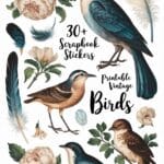 printable scrapbook stickers vintage birds artsydee