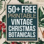 Vintage Christmas Botanicals Artsydee